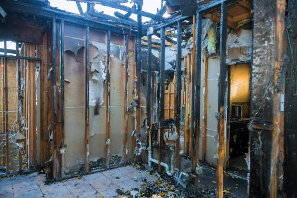 Professional Odor Removal technician working in Salineville, OH